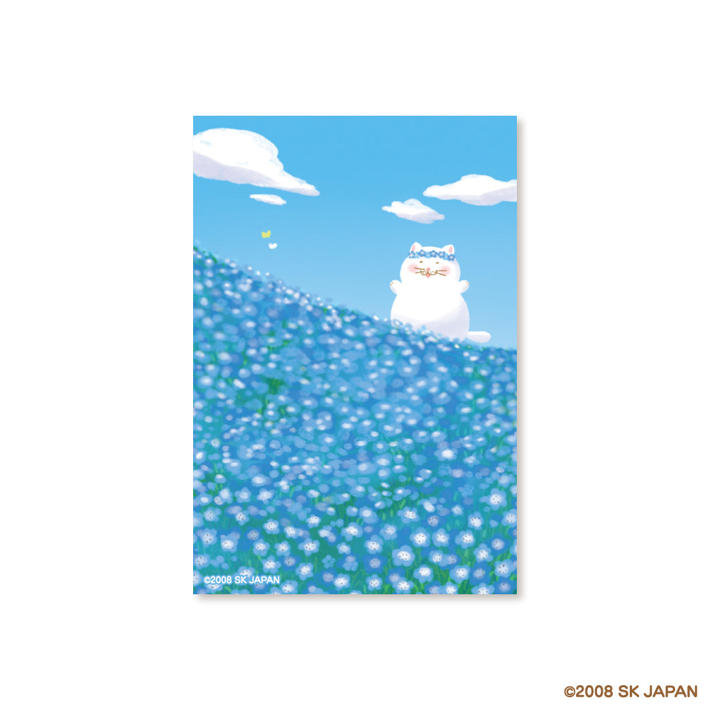 【8月発送】でぶねこ ポストカード(ネモフィラ)