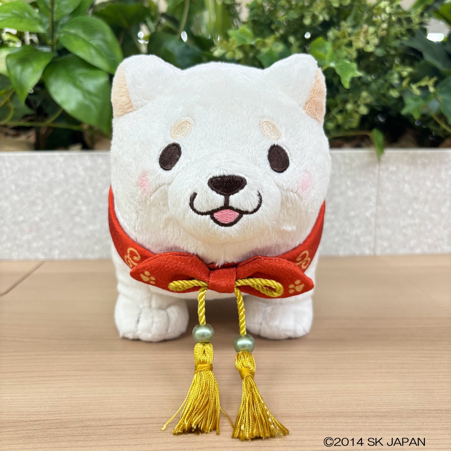 忠犬もちしば ぬいぐるみS(10周年うめ)
