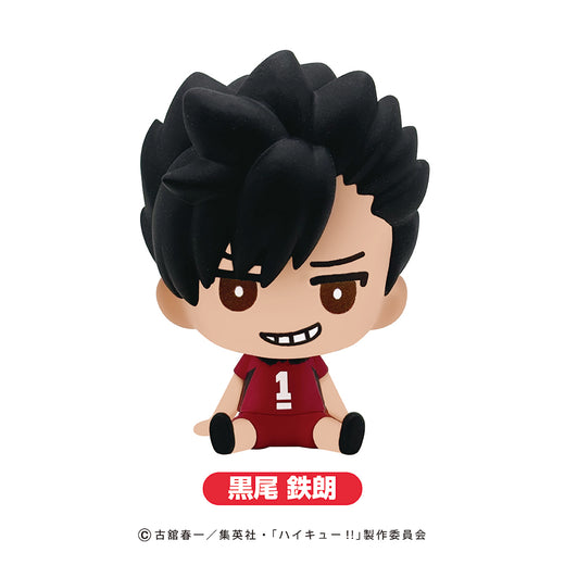 ハイキュー!!　バスボール