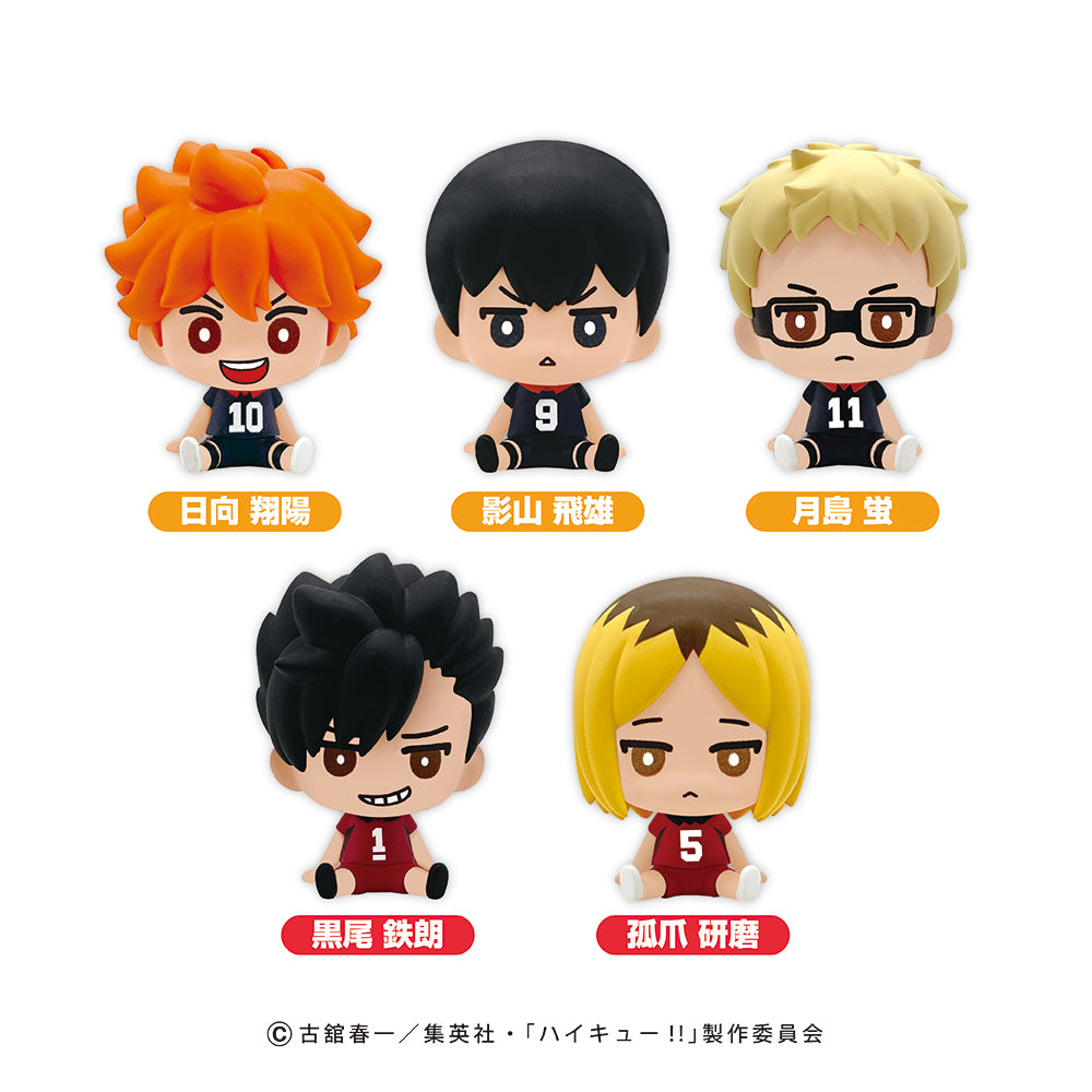 ハイキュー!! バスボール – きゃらマルシェ